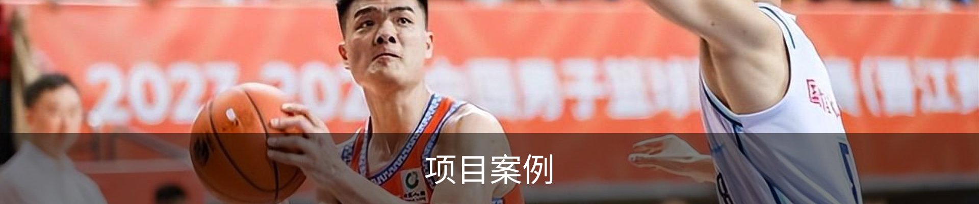 项目案例